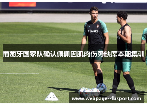 葡萄牙国家队确认佩佩因肌肉伤势缺席本期集训